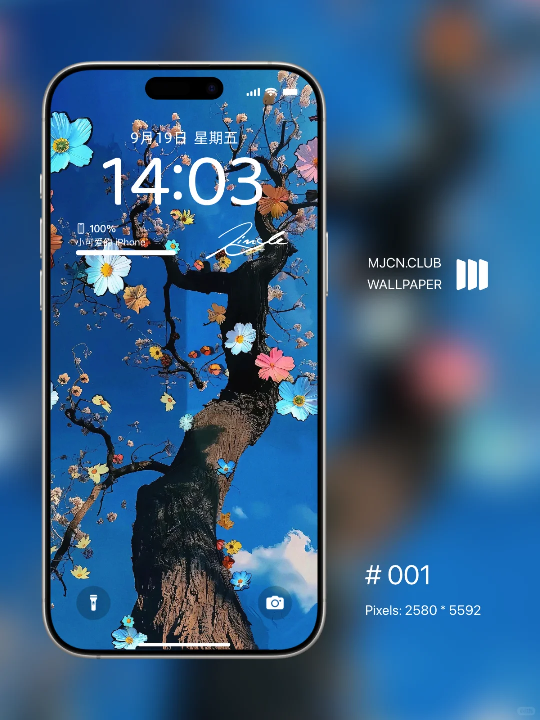 手机壁纸|“樱花树下,你是我最美的风景”🌸