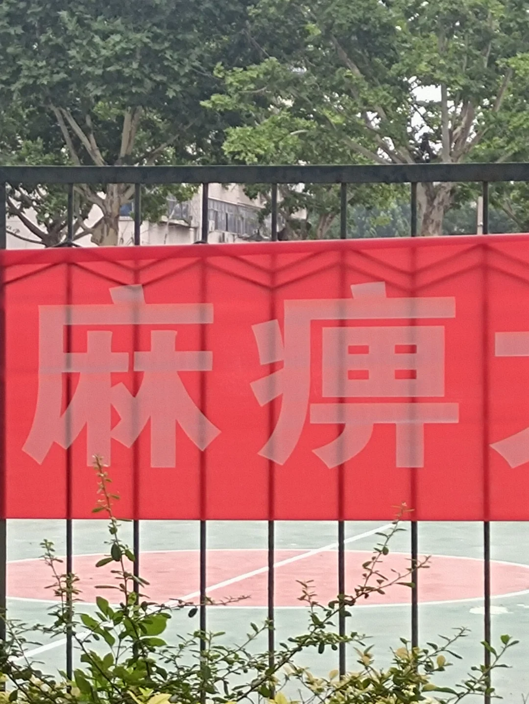 罗丽丝内衣店导购