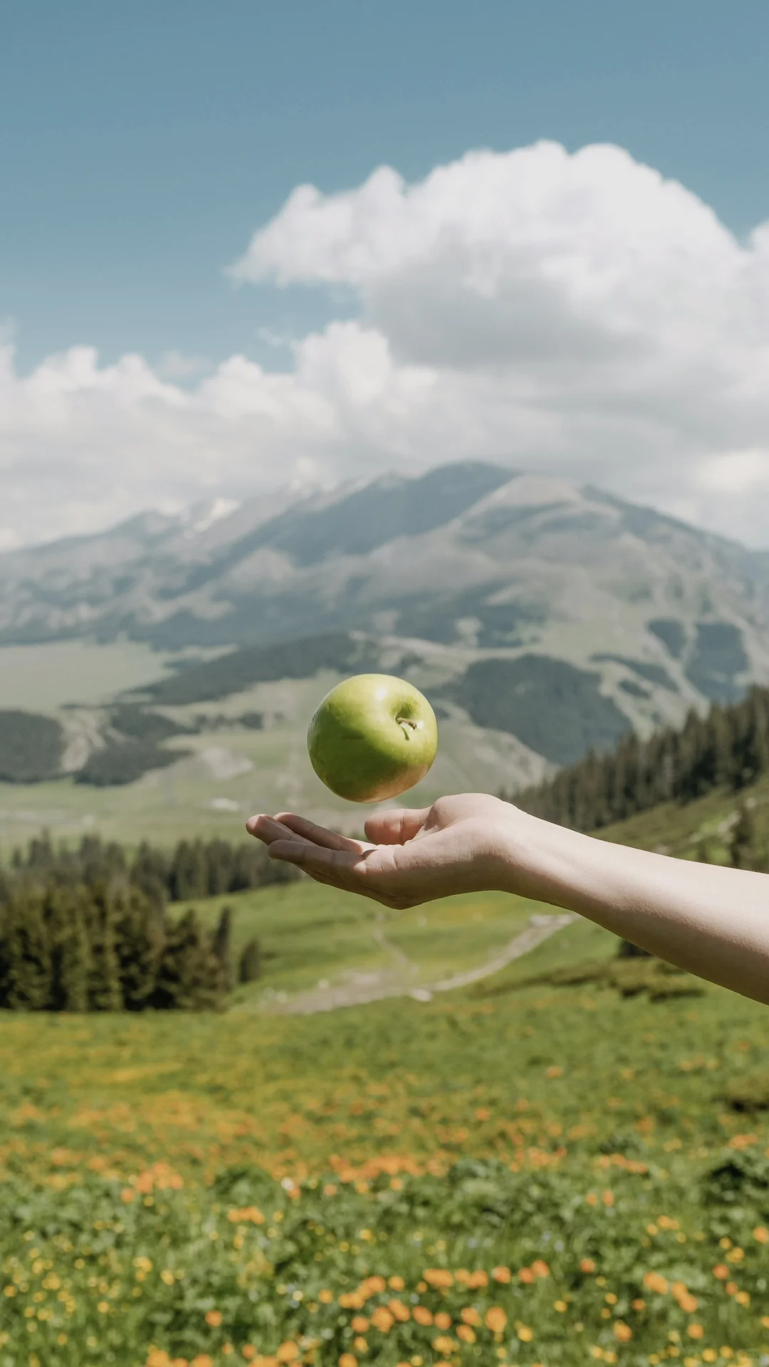 ʙʟᴜᴇ ʙʟᴜᴇ ʙʟᴜᴇ