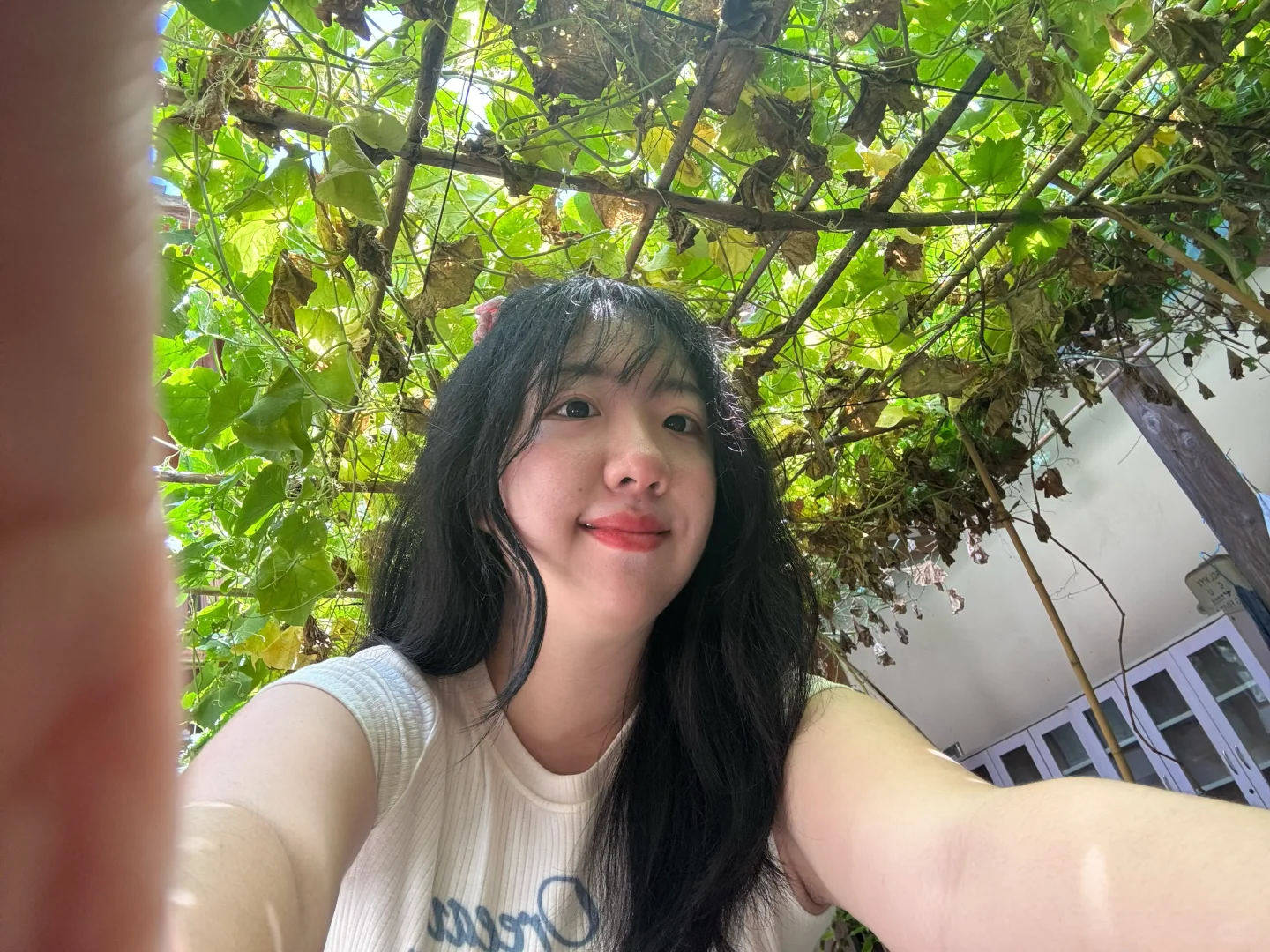 啊？东北甜妹？？？？？！