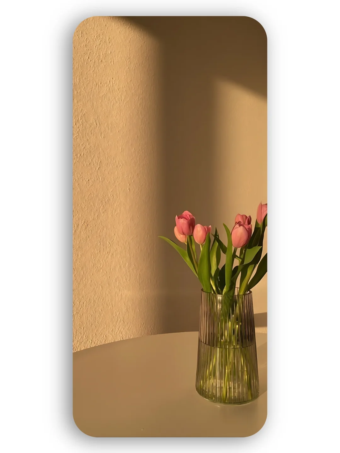 超好看的手机壁纸、快来get！