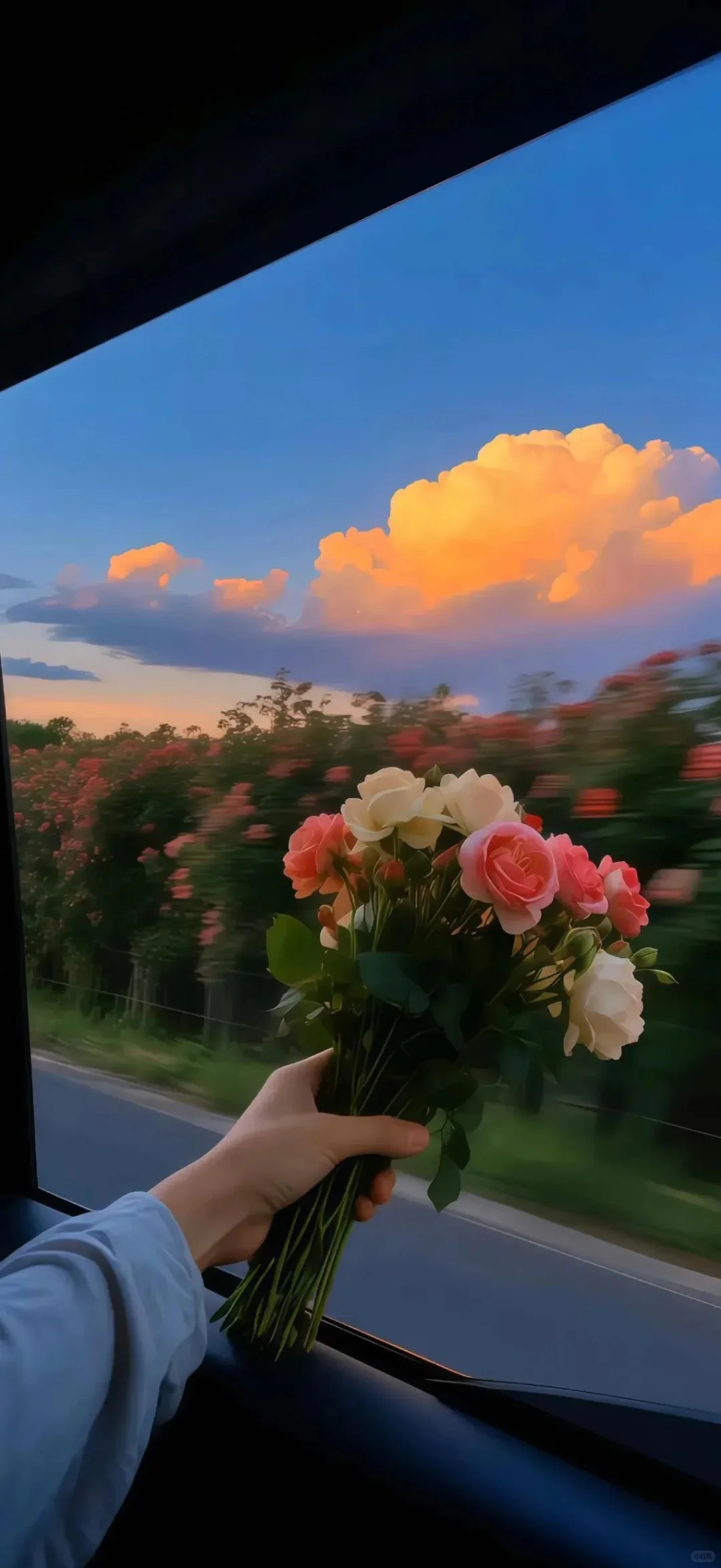 iOS·26壁纸更新 有没有美到?!