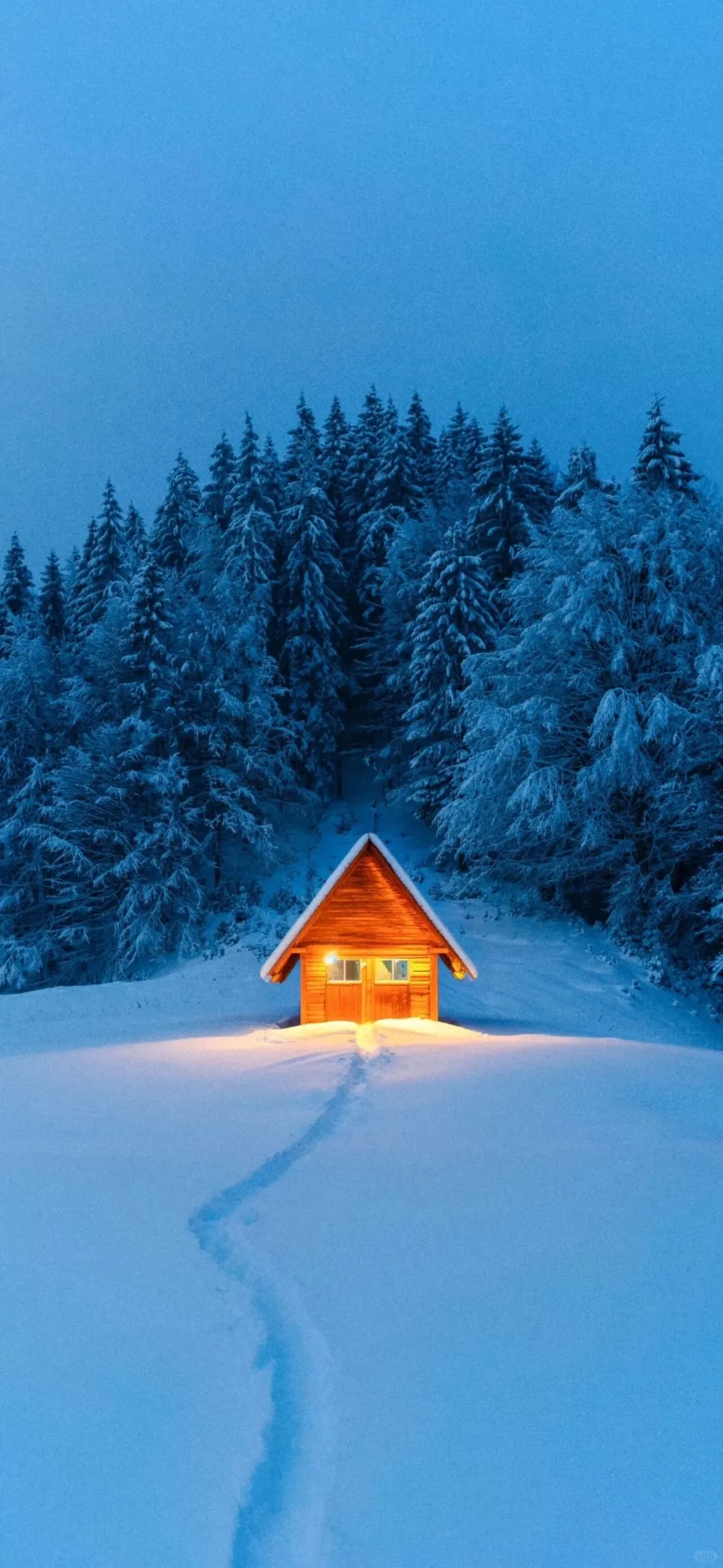 九张景深效果手机壁纸