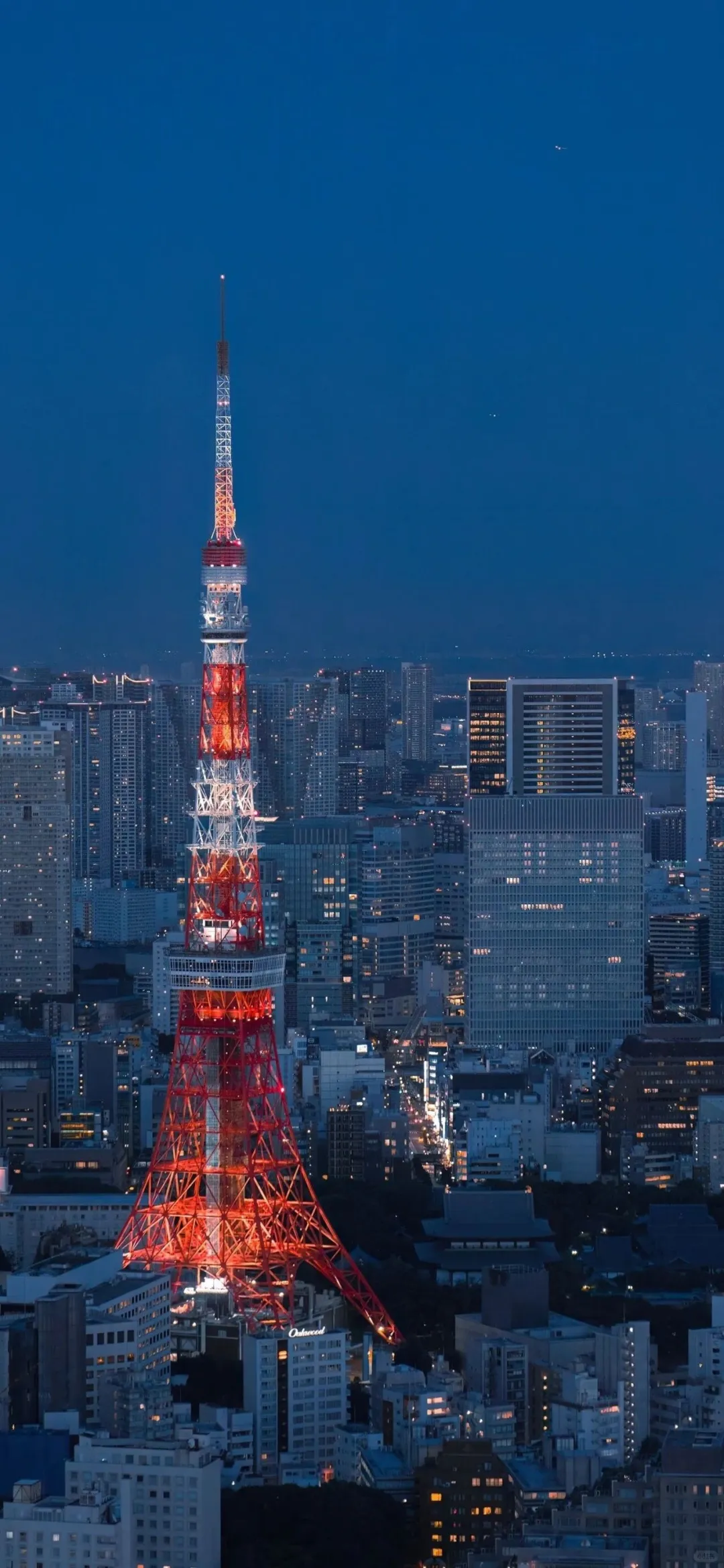 九张景深效果手机壁纸