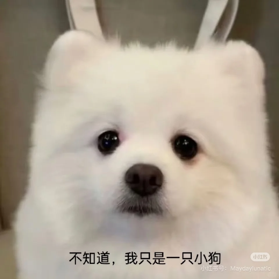 在小圈中逐渐加深对自我的认识