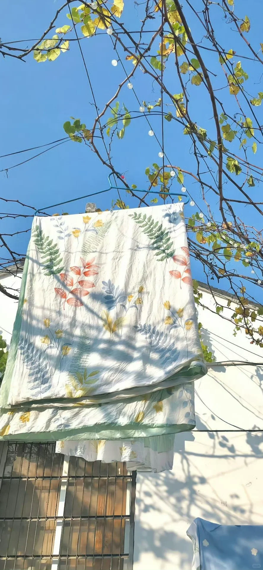 锁屏壁纸分享#76秋日暖阳治愈系壁纸