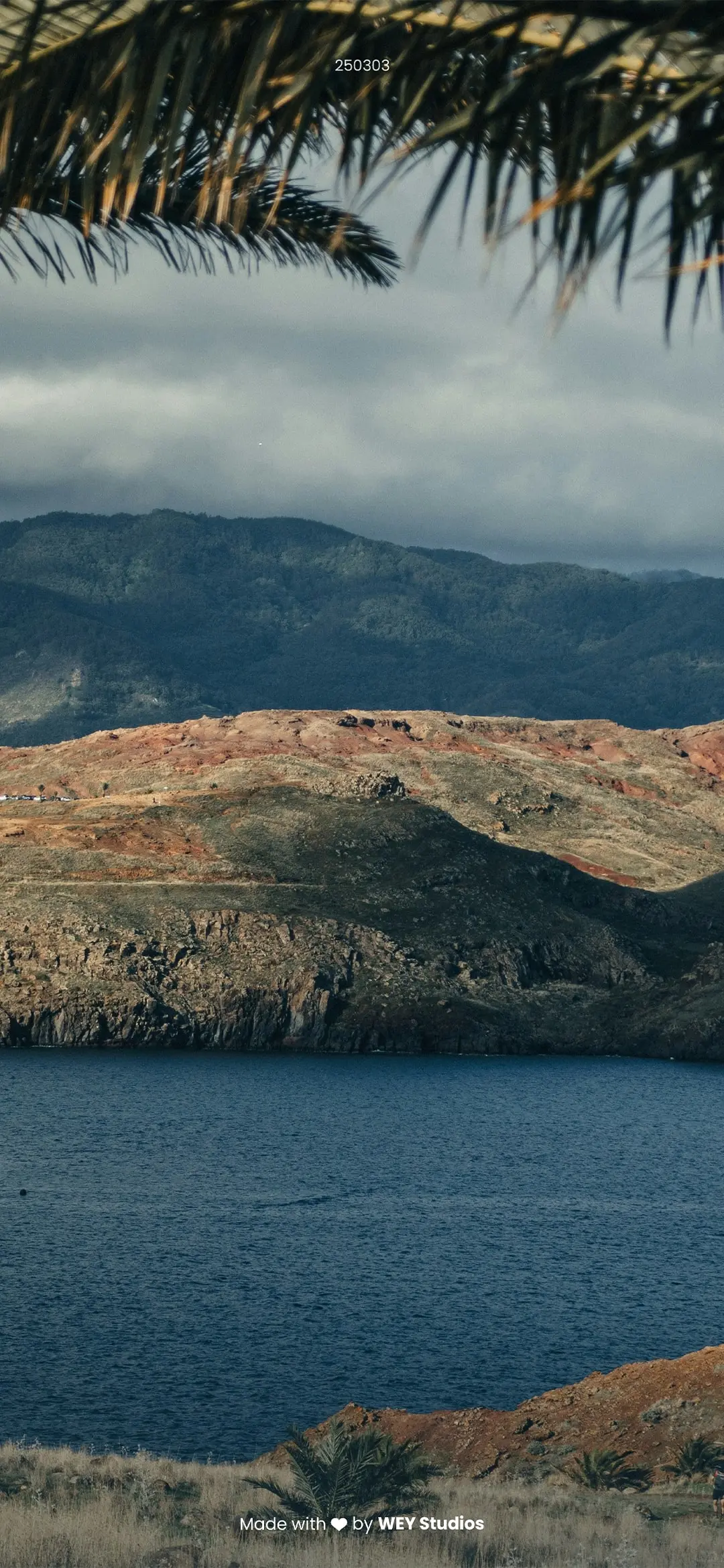 Daily Vision|手机壁纸 250303