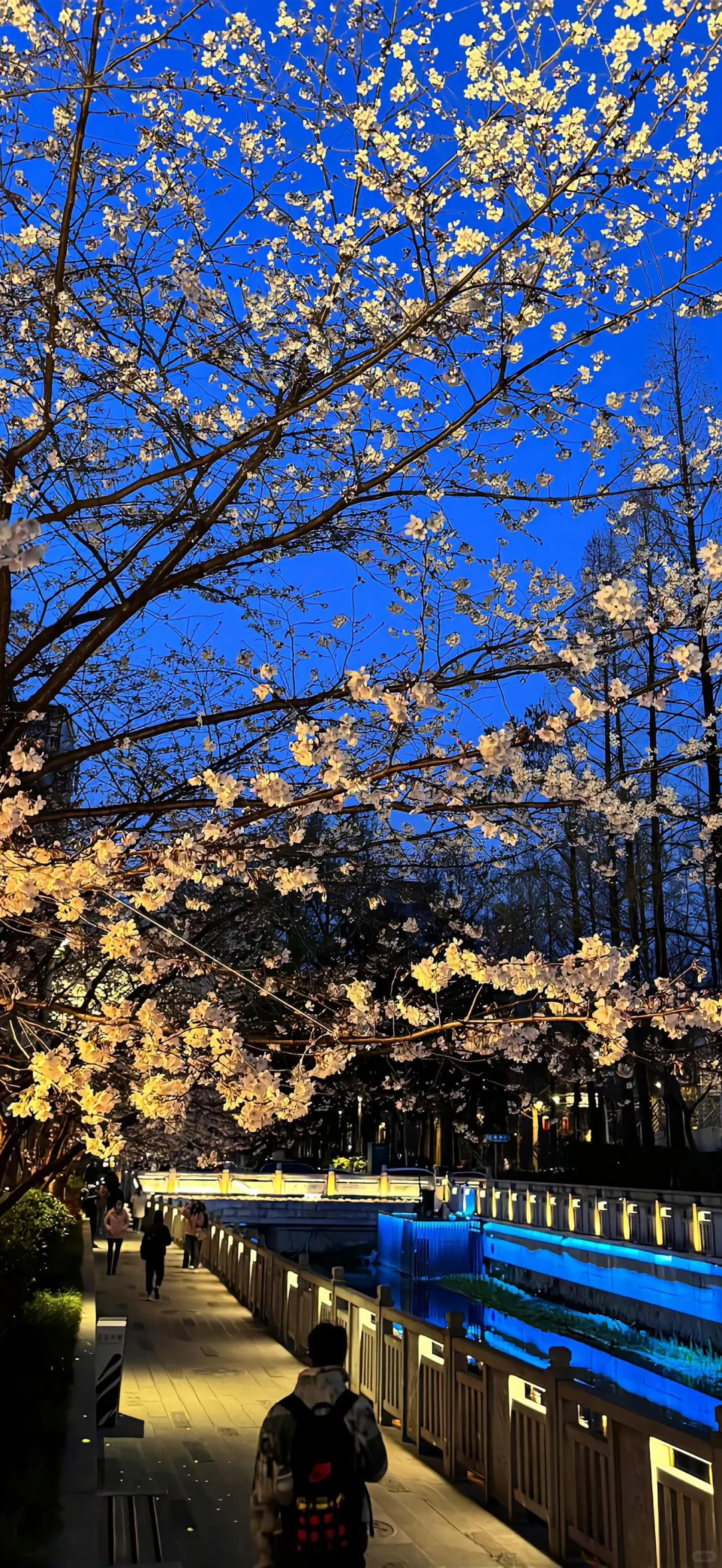 iOS·26壁纸更新 有没有美到?!