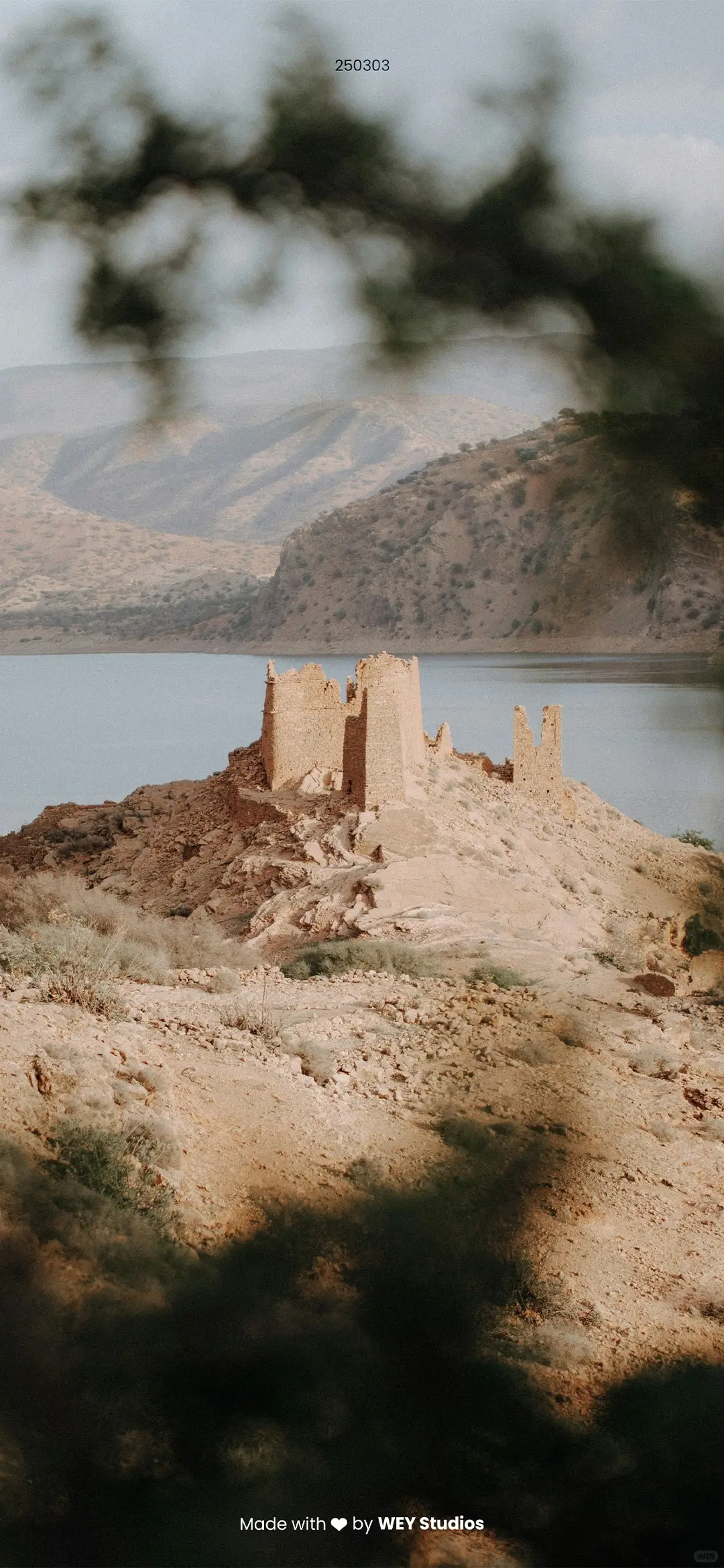 Daily Vision|手机壁纸 250303