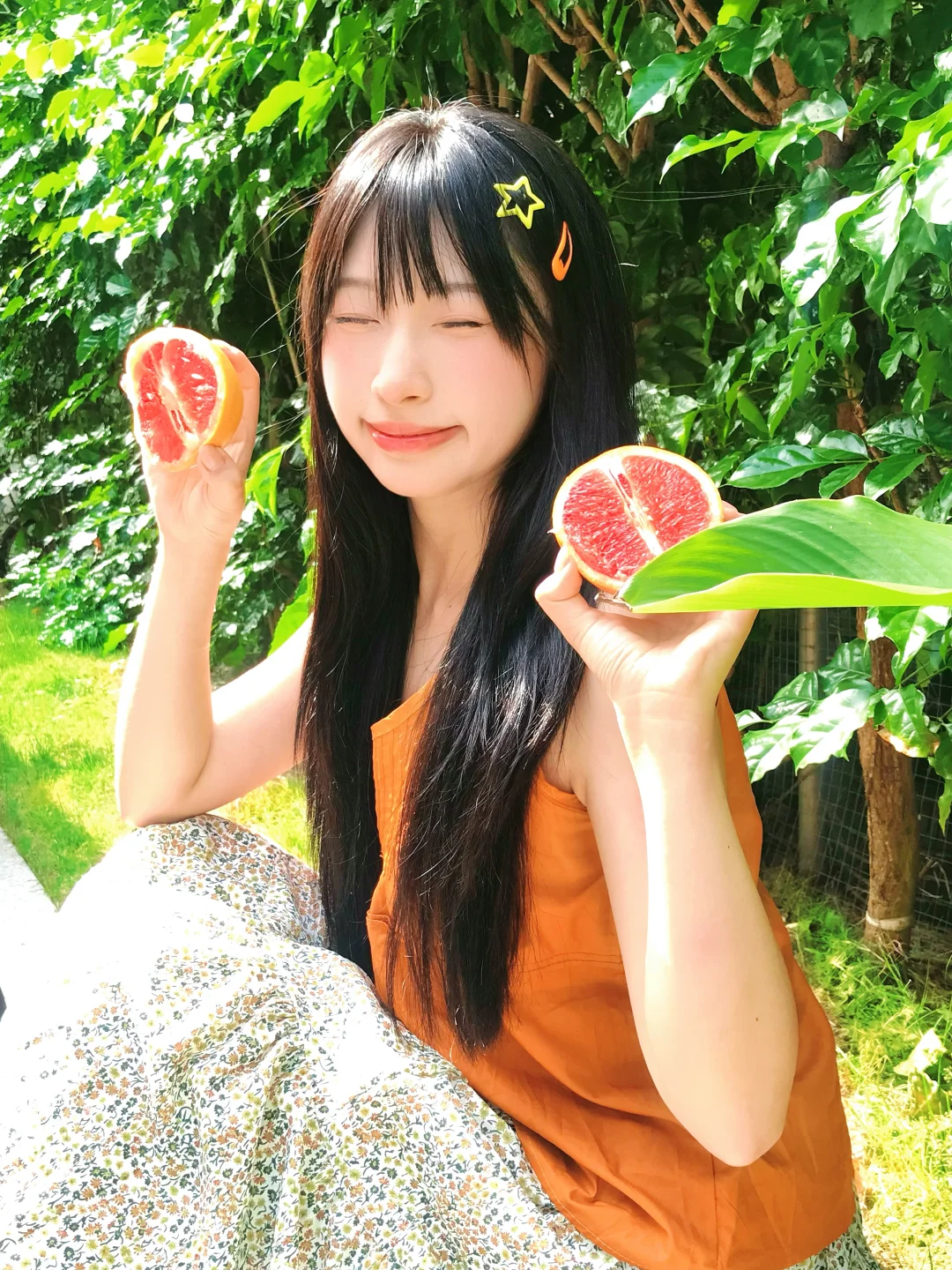 “阳光 西柚 绿树” ☀️🍊🌿