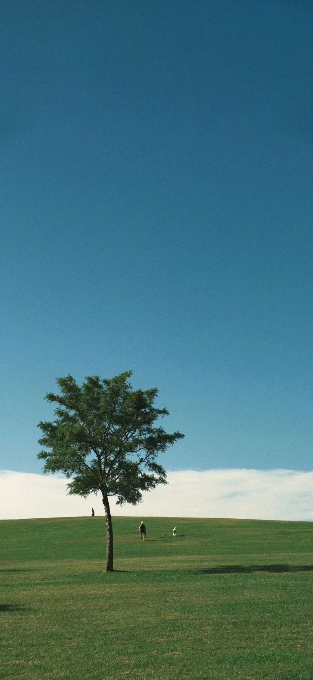 九张景深效果手机壁纸