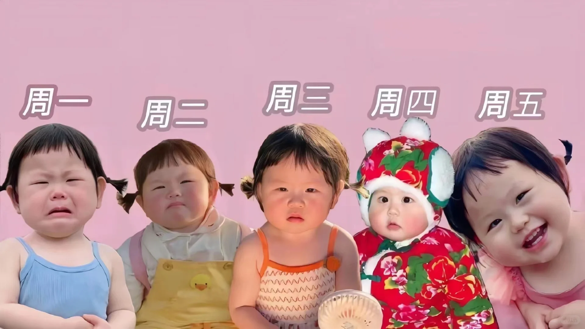 自愿上班|打工人壁纸