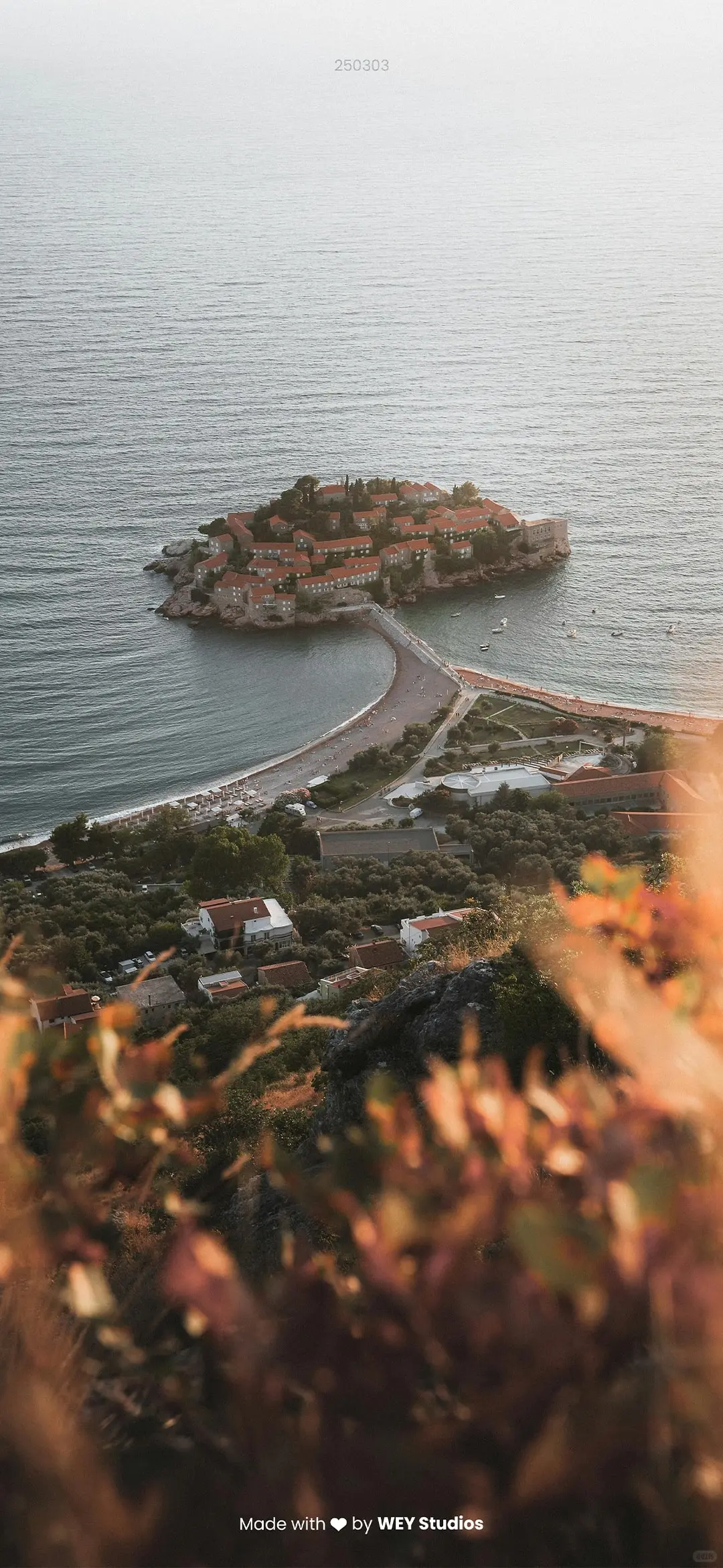 Daily Vision|手机壁纸 250303