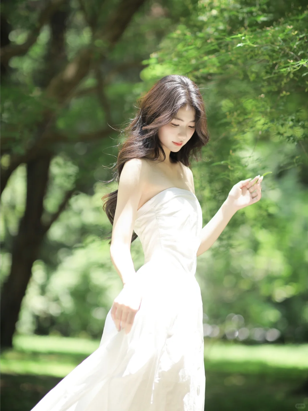 被绿绿的夏天治愈🌳📸️