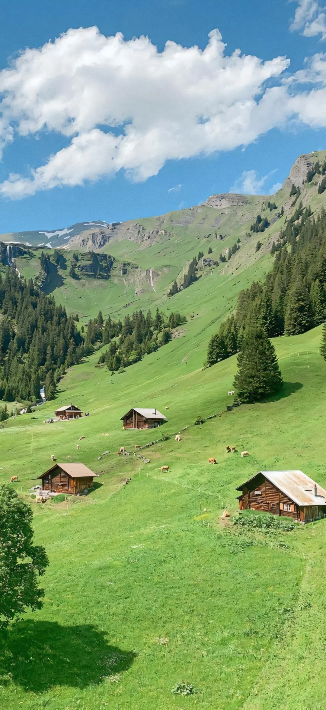 iOS·26壁纸更新 有没有美到?!