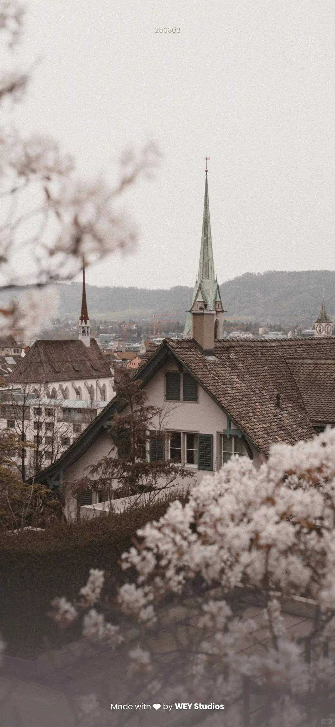 Daily Vision|手机壁纸 250303