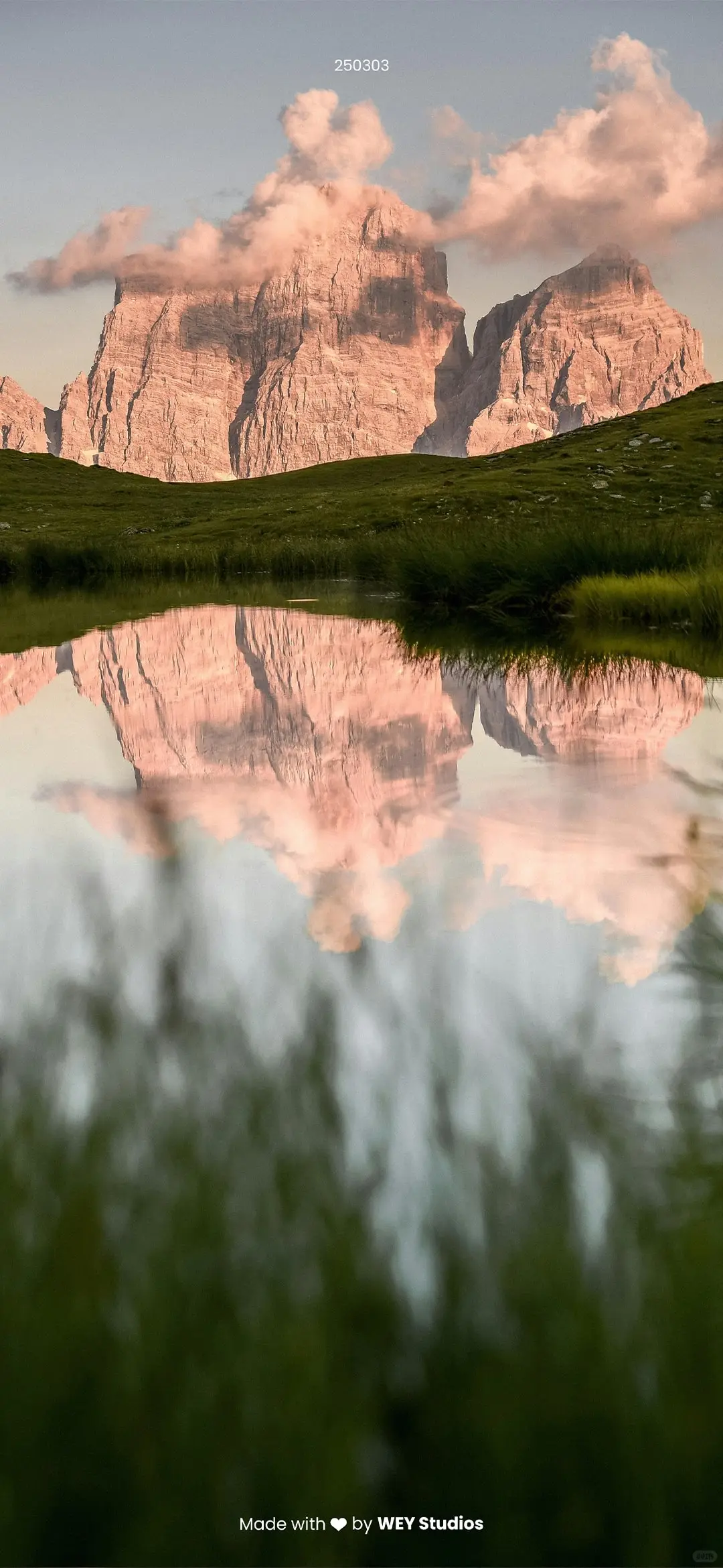 Daily Vision|手机壁纸 250303