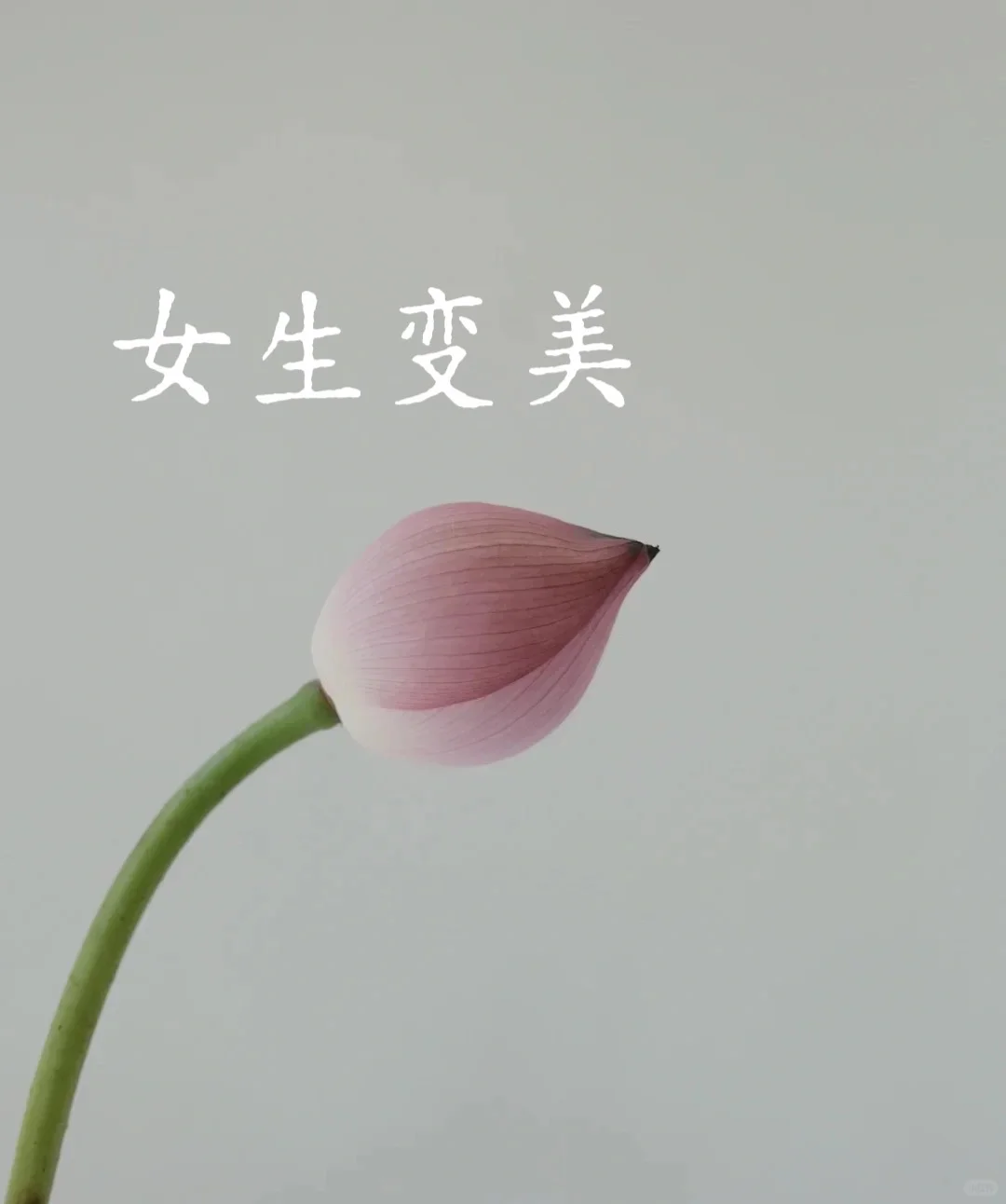 女生想变美～