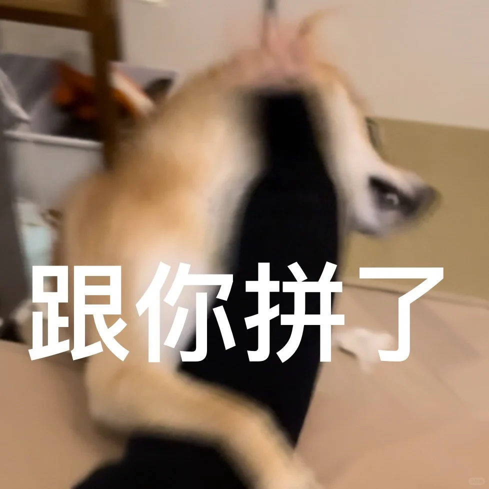 小辣椒表情包来了!喜欢的自取