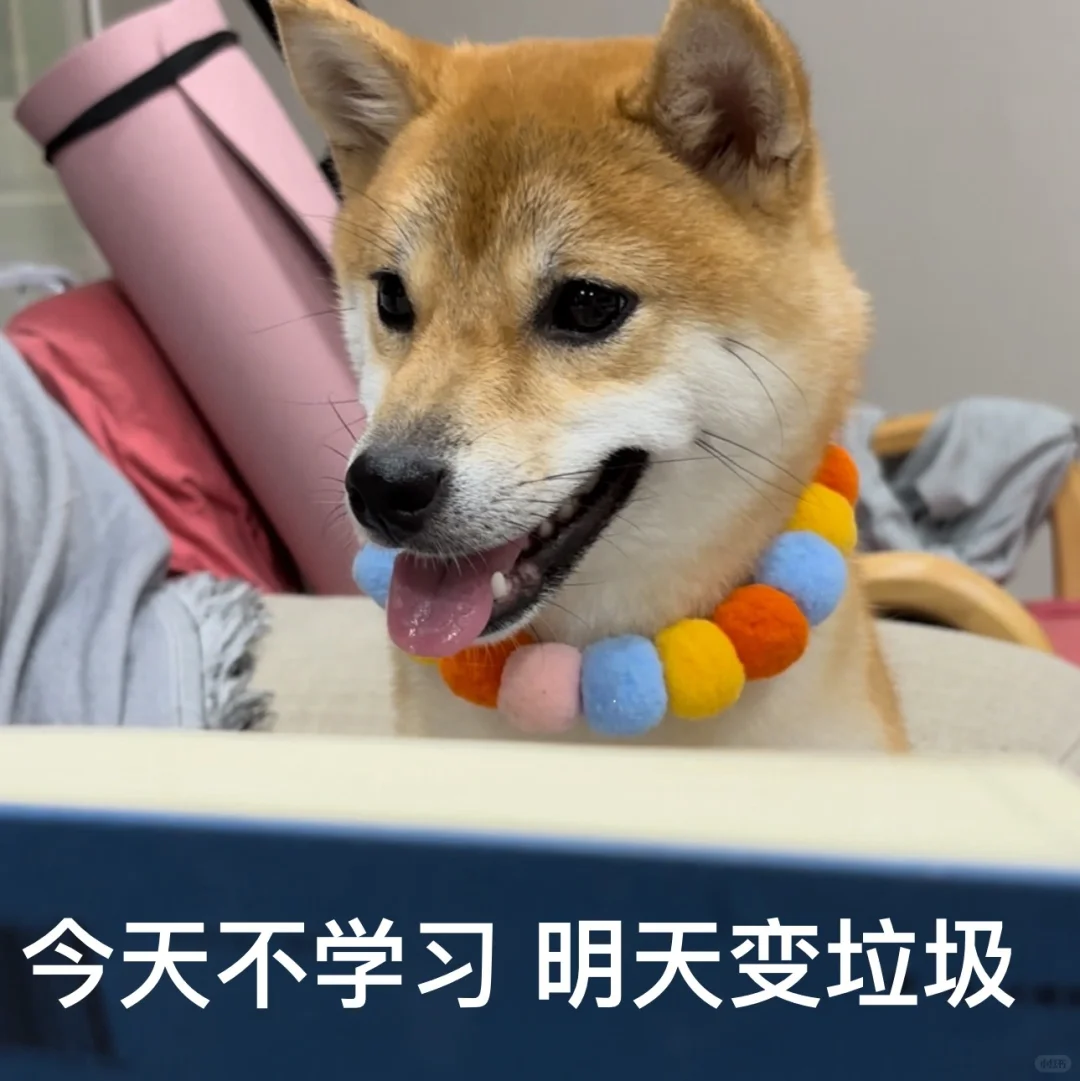 小辣椒表情包来了!喜欢的自取