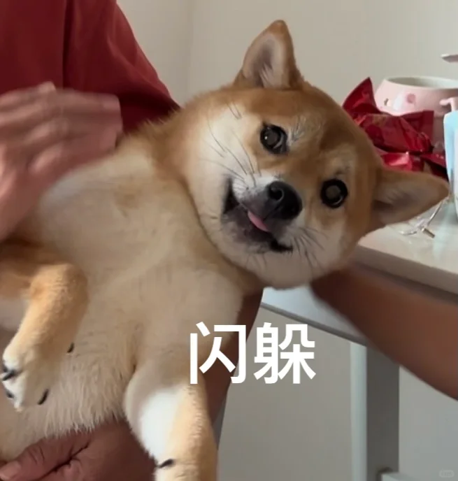 小辣椒表情包来了!喜欢的自取