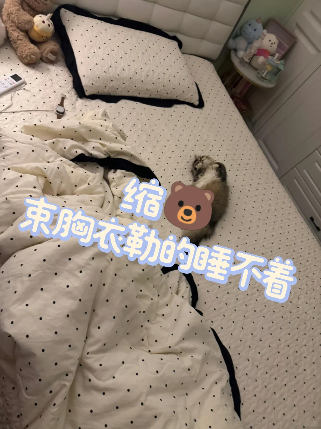 缩xiong后失眠的夜