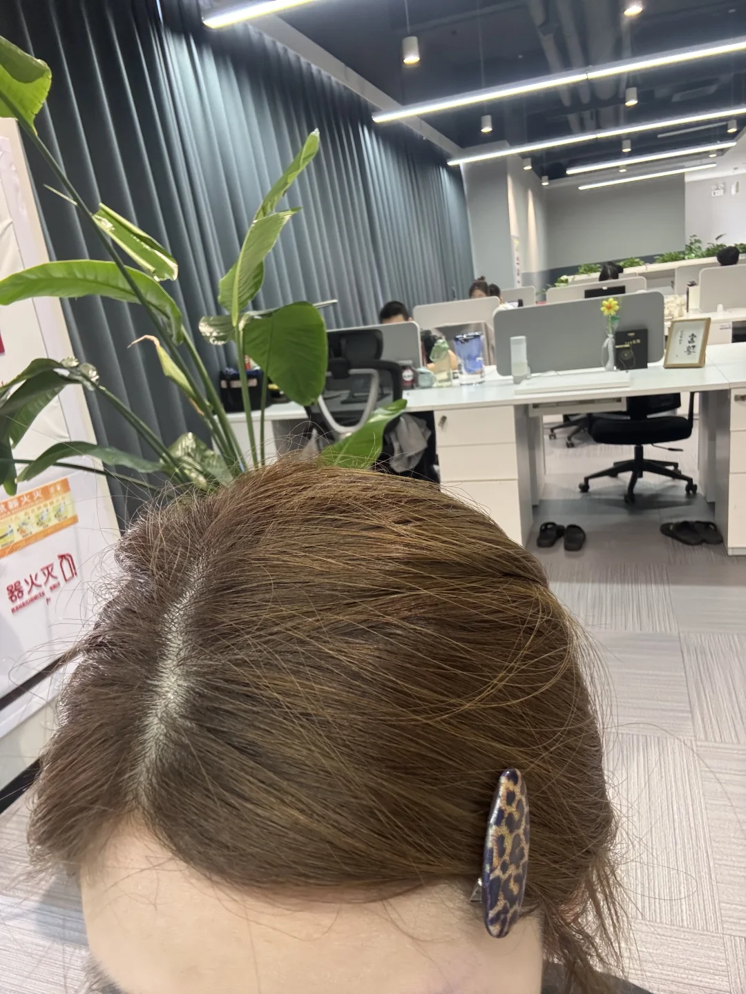 新发色撩拨我