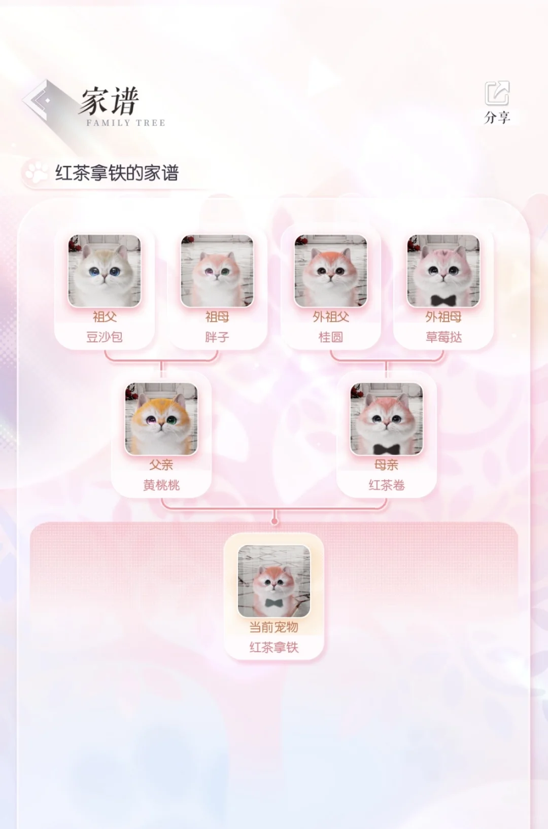 桂金小宝又➕1