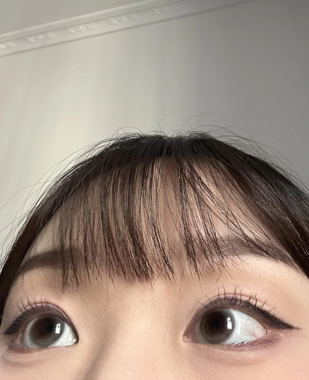 淡人的天菜美瞳