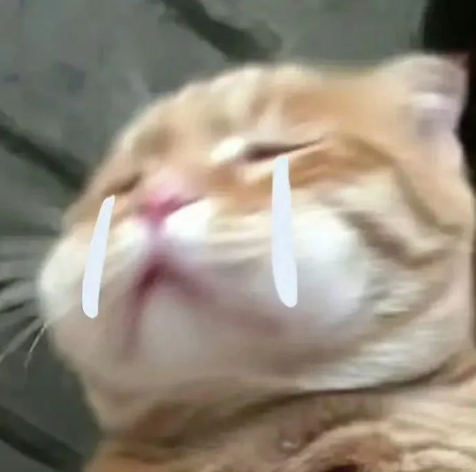 可爱抽象猫猫表情包大全