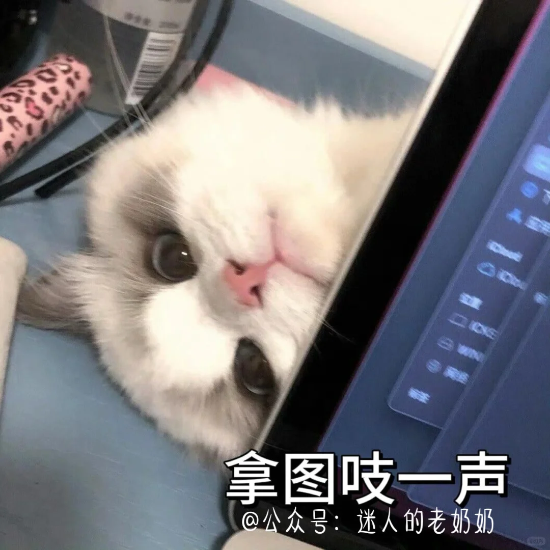 修猫表情包攻击！！