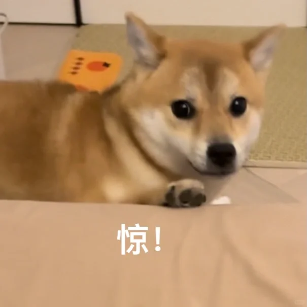 小辣椒表情包来了!喜欢的自取