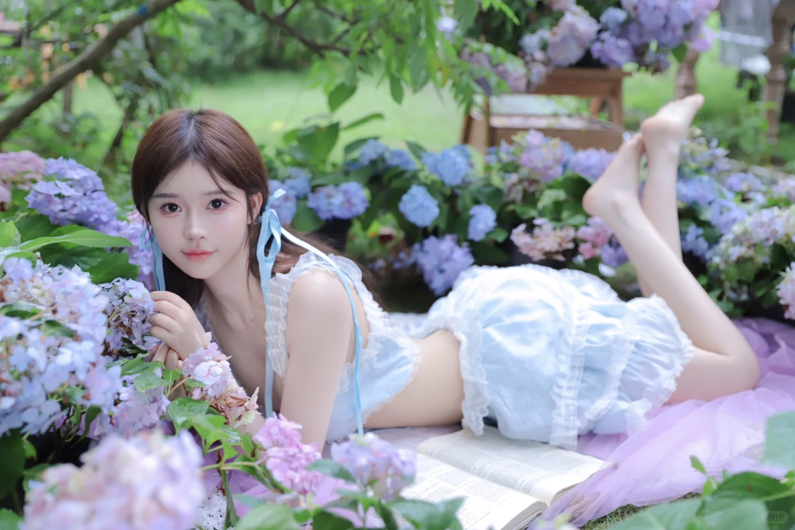 无尽夏绣球写真真的好美
