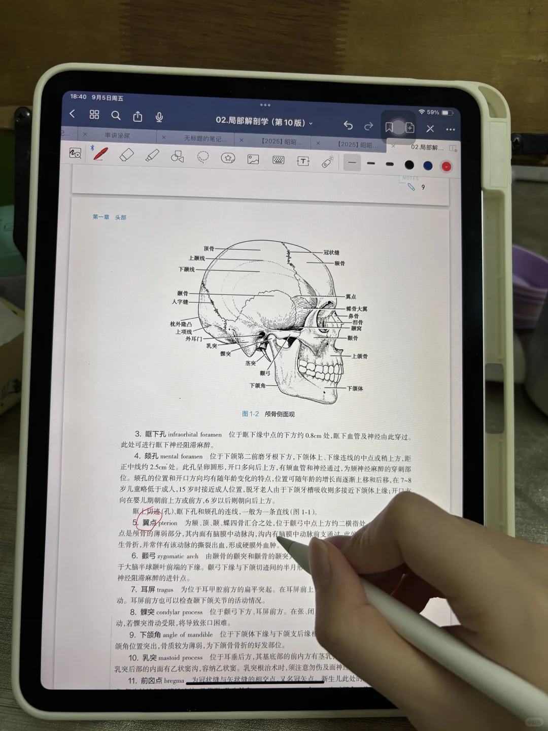 10版人卫教材电子版!医学生闭眼冲