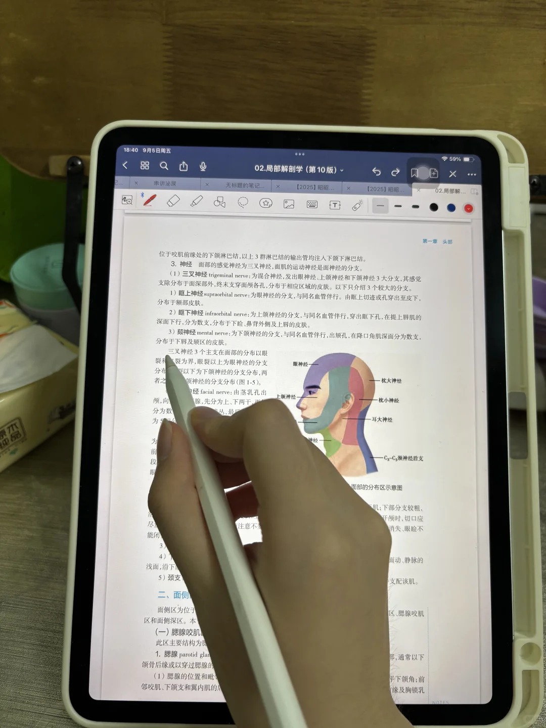 10版人卫教材电子版!医学生闭眼冲