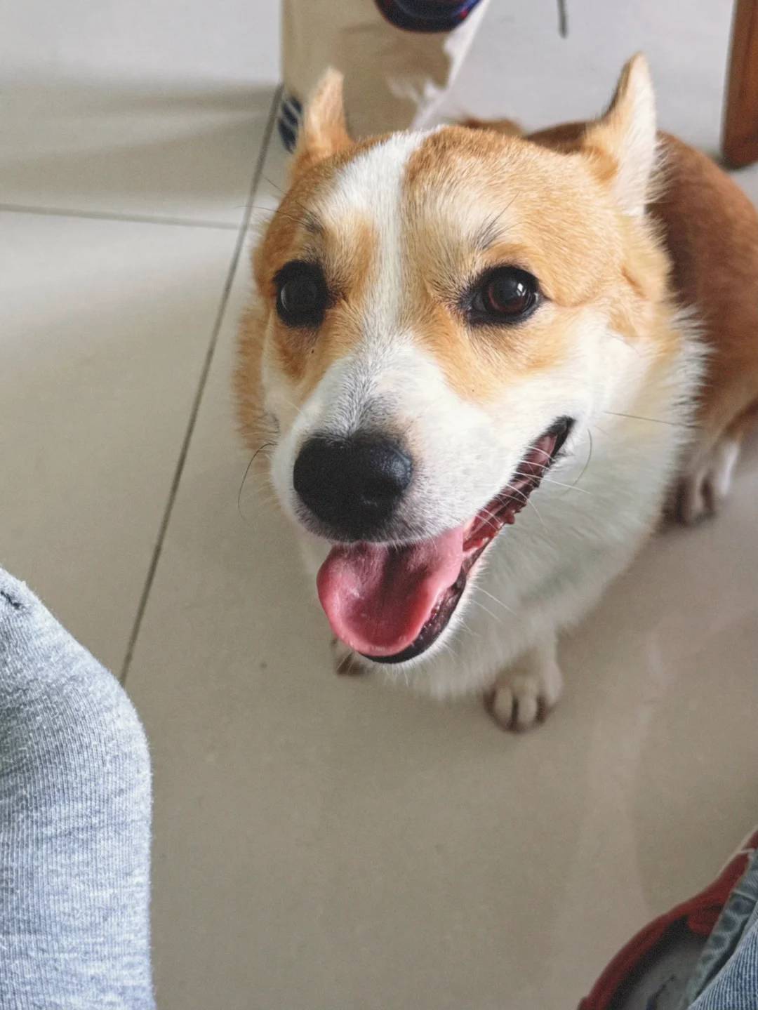 大胆一点要就给