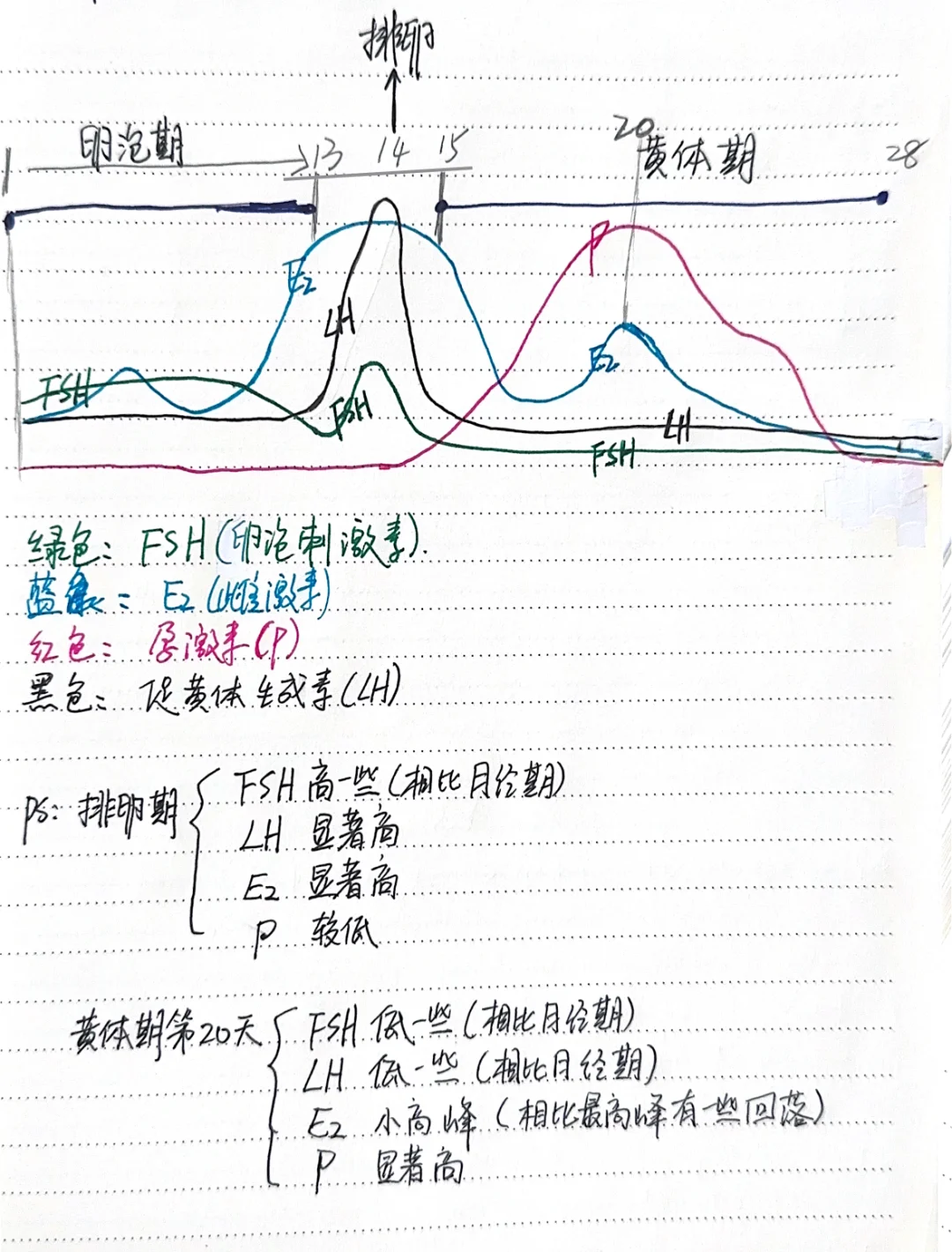 性激素fsh、lh、E2、P在月经周期表现图示