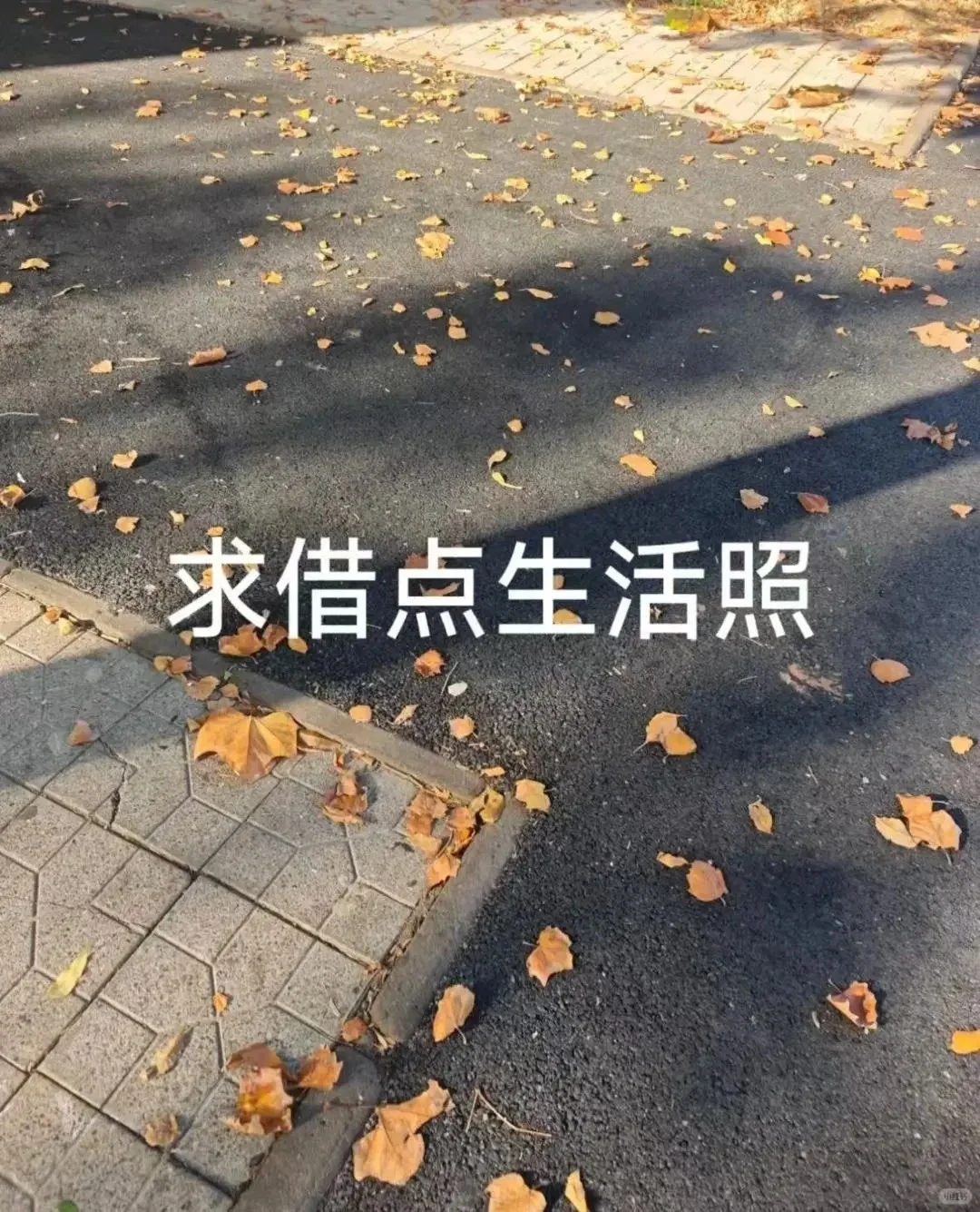 分享生活照