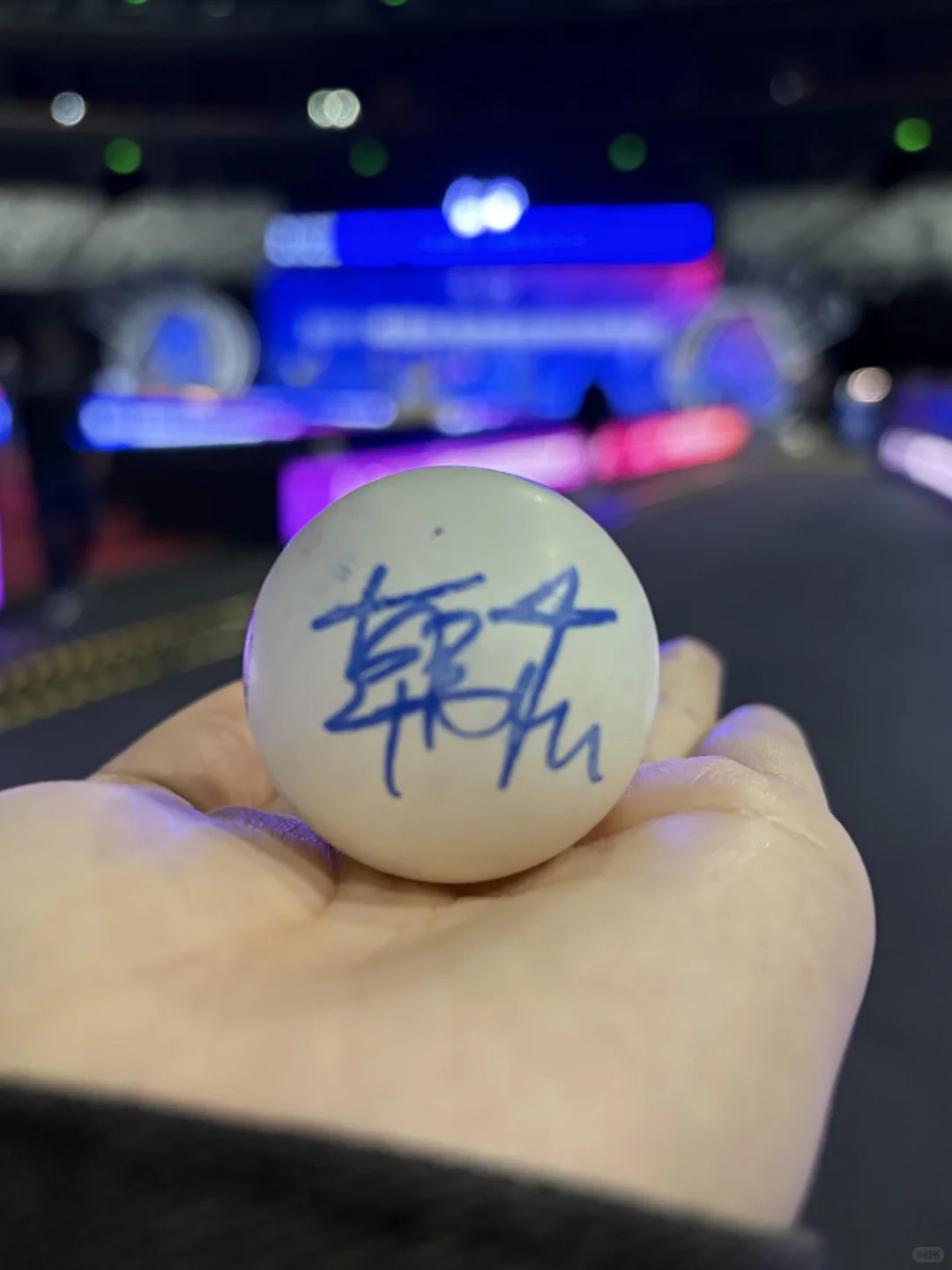 也是没白来新疆限定皮肤