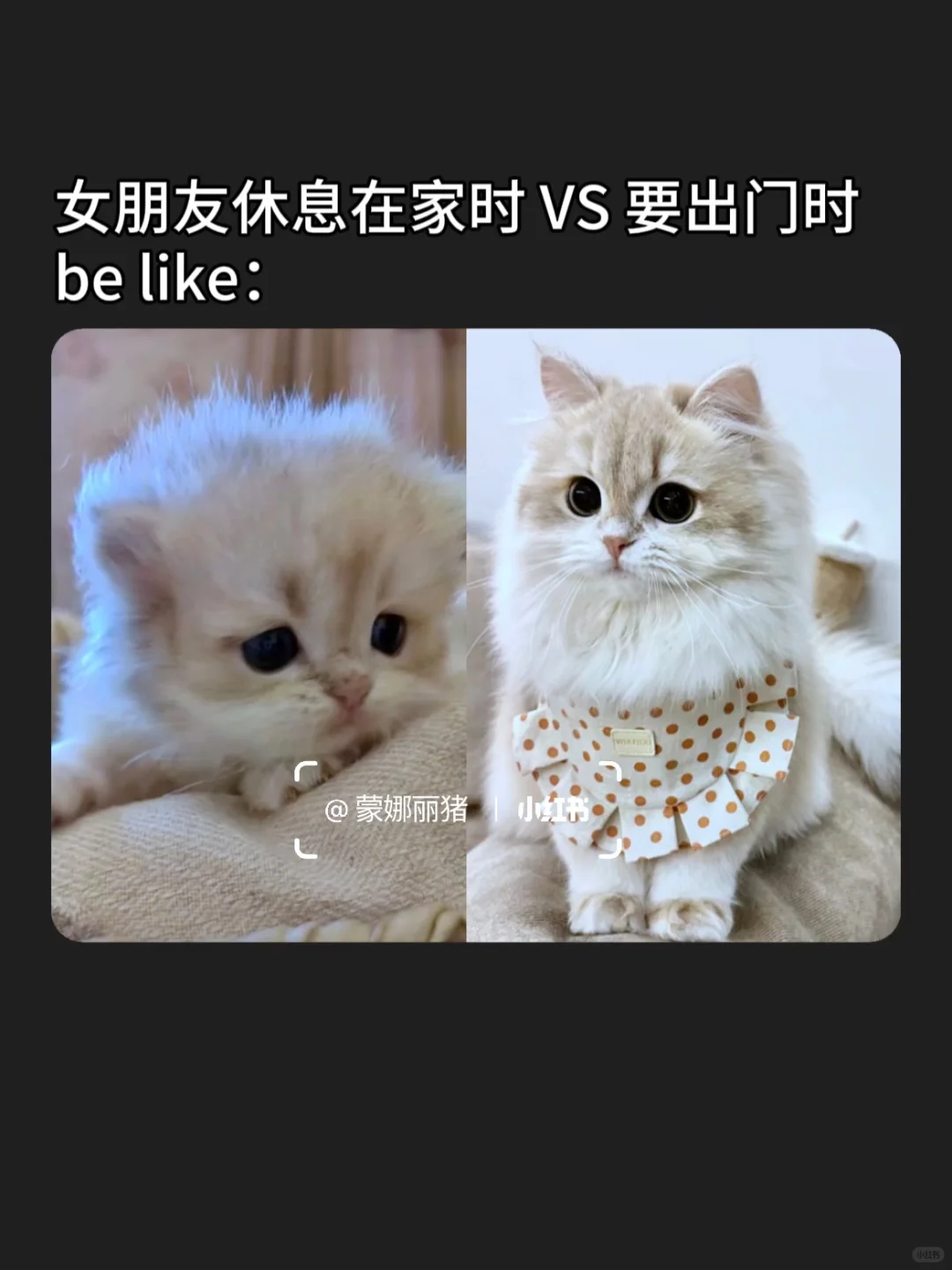 画面过于真实