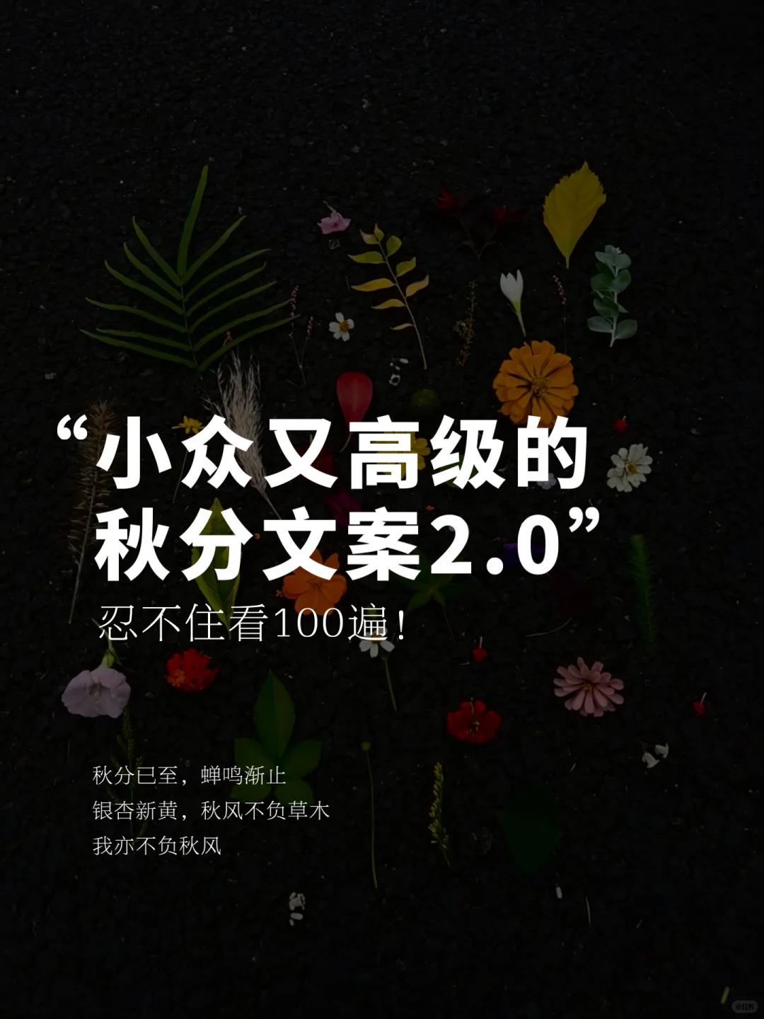 朋友圈小众又高级的秋分文案2.0
