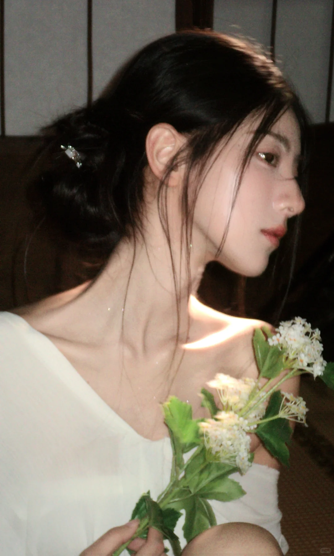 白玉缀枝头