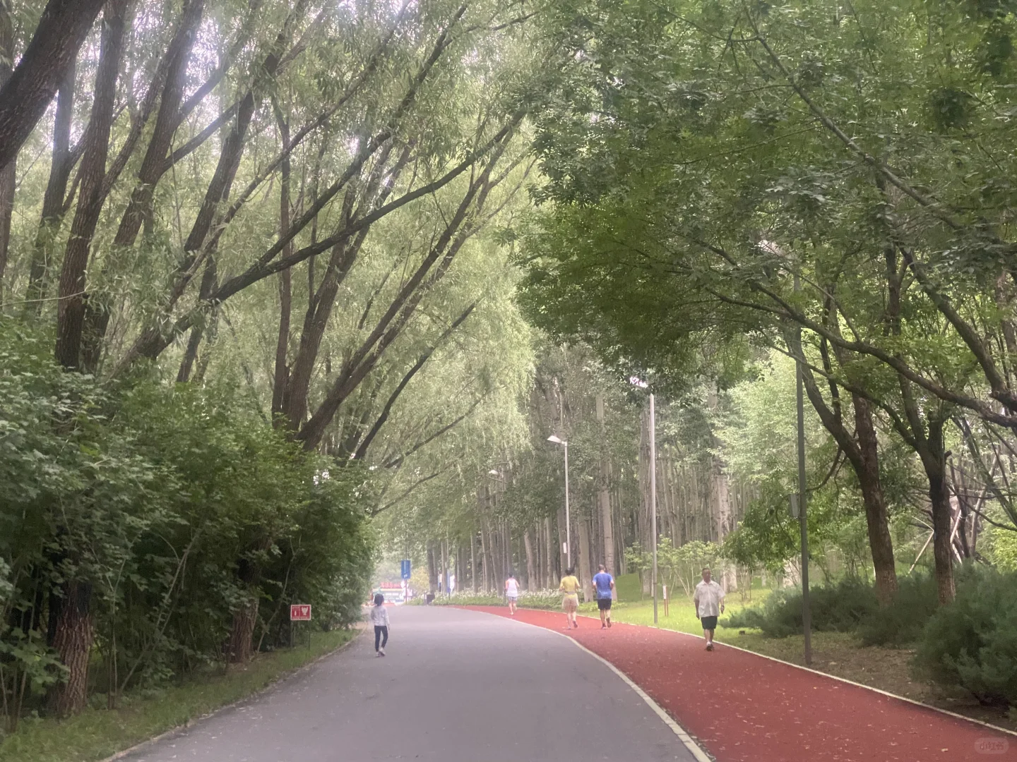 运动日常｜原来跑步会让人会变漂亮啊～