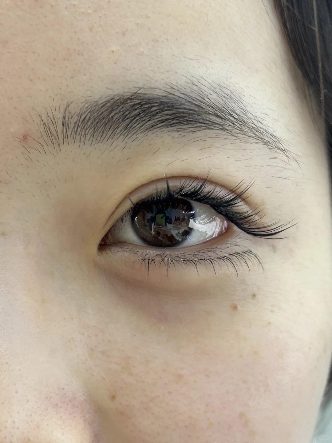 猫系➕狐系超绝组合上眼👀图来啦～