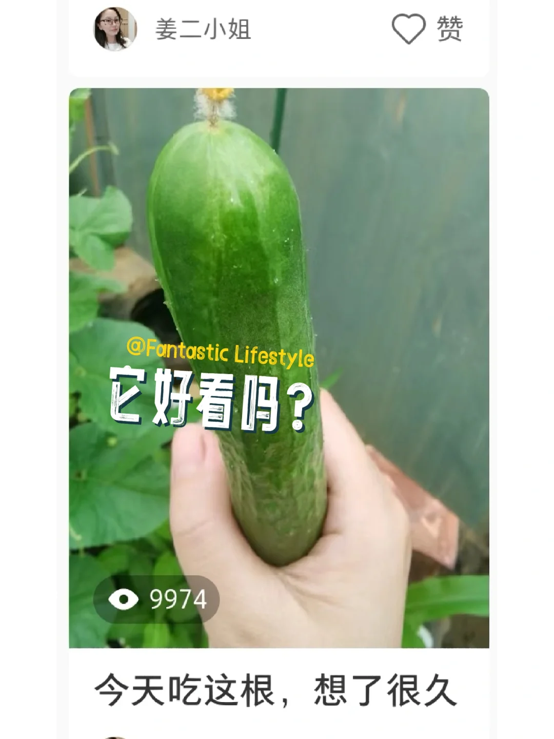 被近一万人看着吃🥒