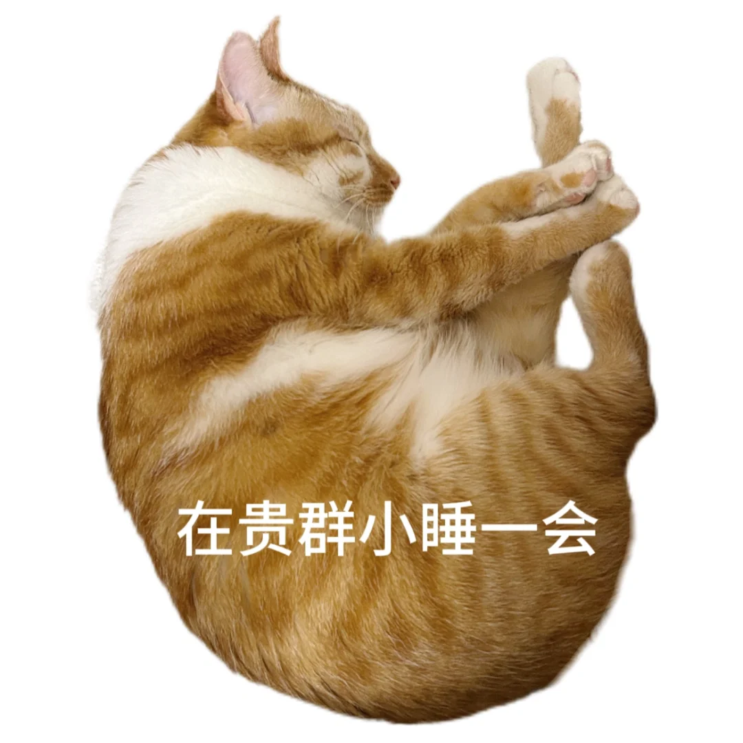 这么实用的猫到底是谁发明的？🫰🏻