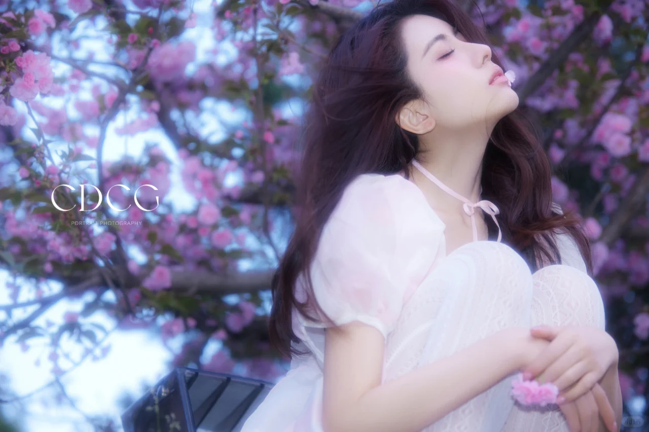 写真丨我寄出一封信，在下个春日送达🌷