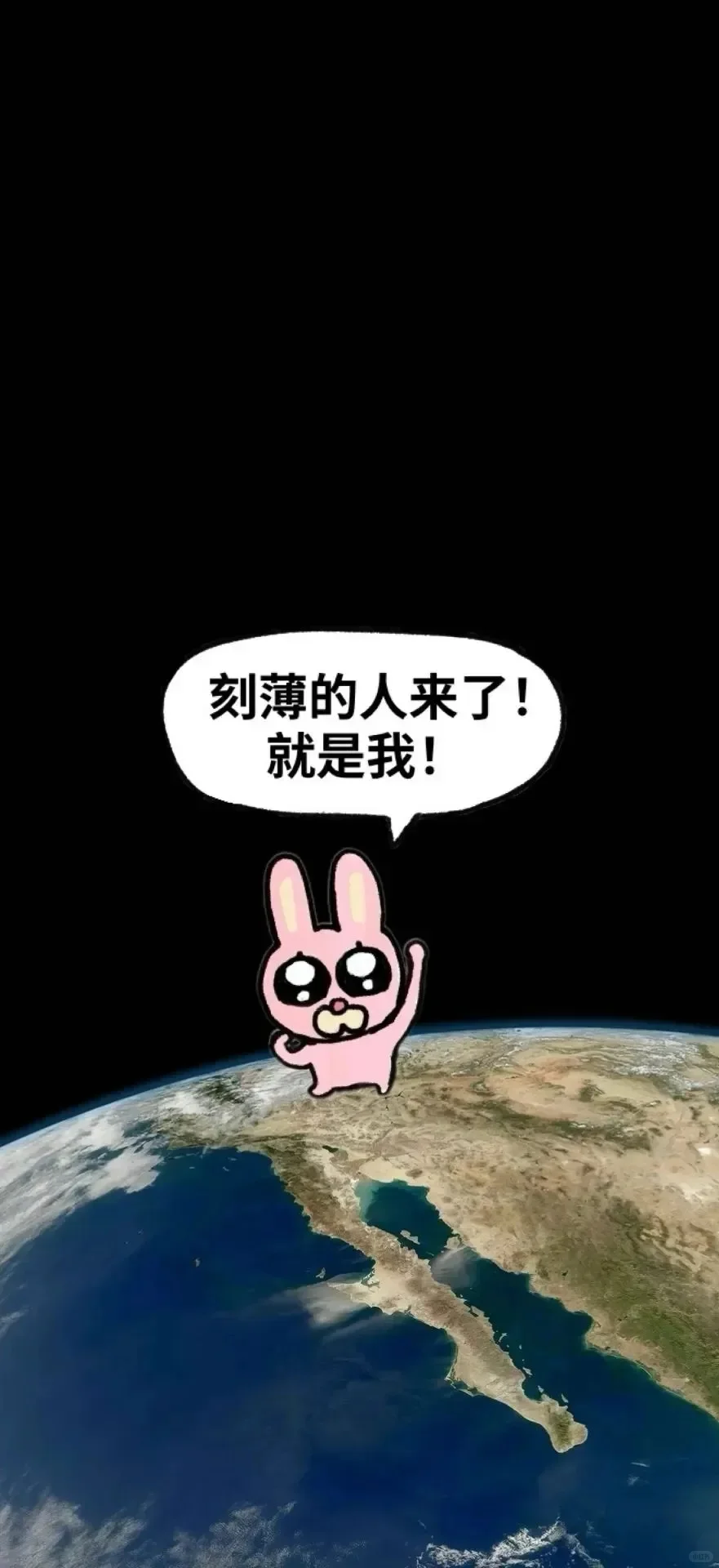 壁纸|精神状态良好