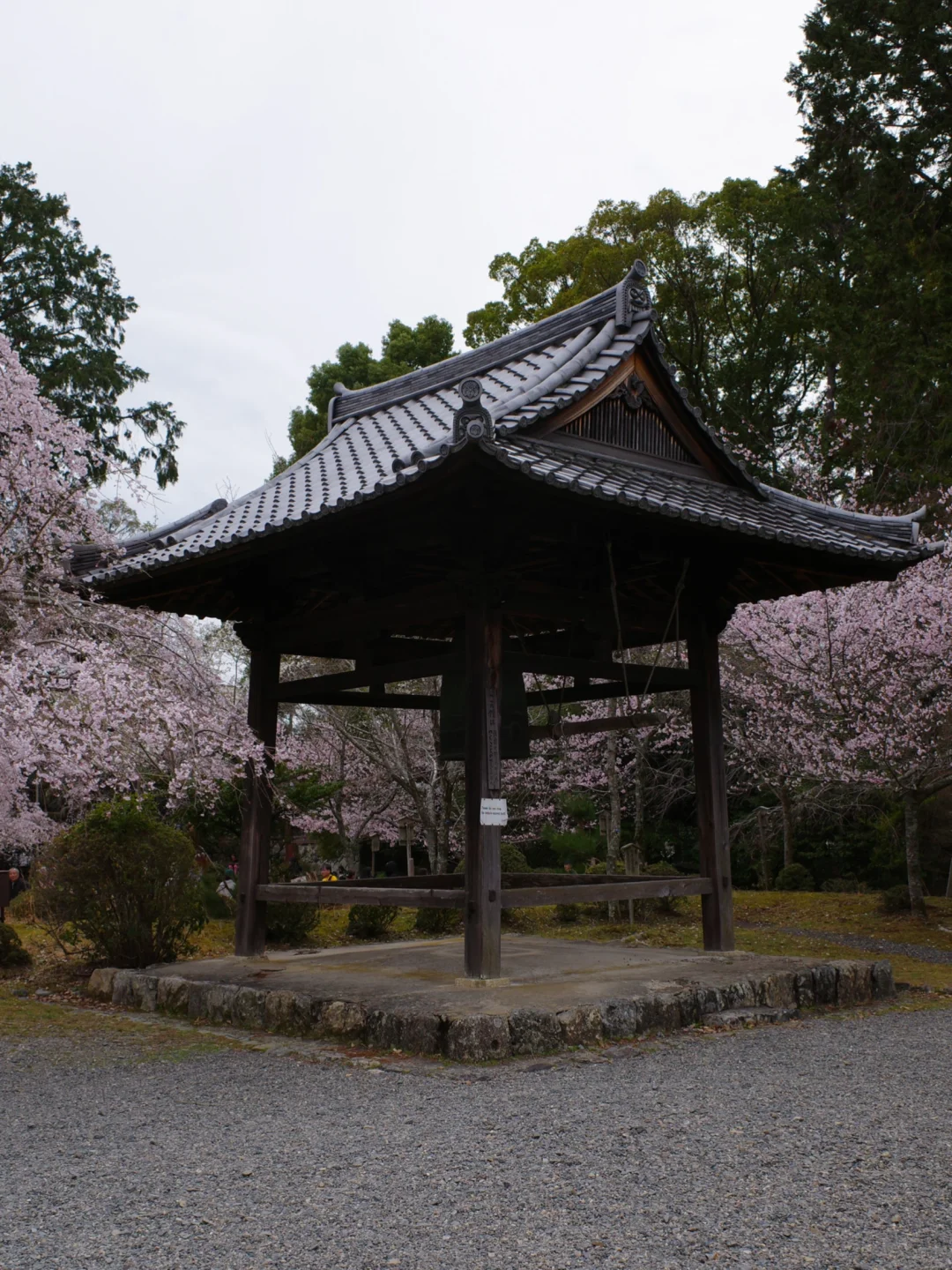 京都色彩⛩️