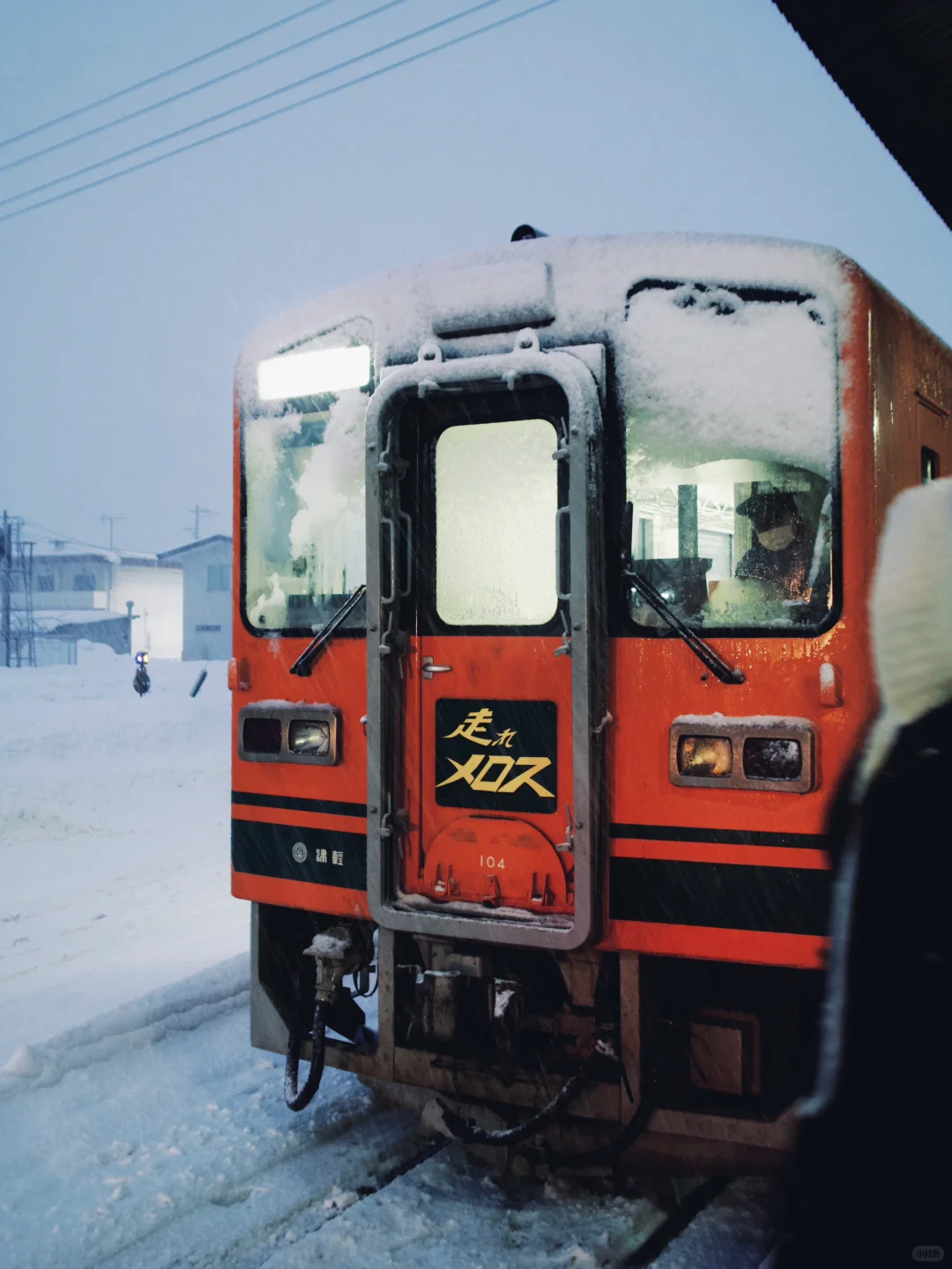 反季节想念｜青森 暴雪来临的夜晚🌨️
